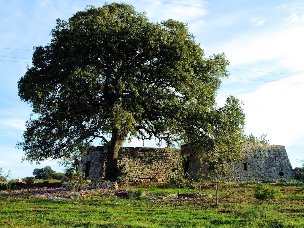 Agriturismo Le Fornelle Tricase Pokoj fotografie